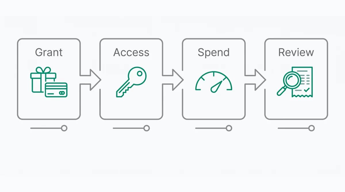 Credit grants, account access, resource spending and review are distinct checkpoints